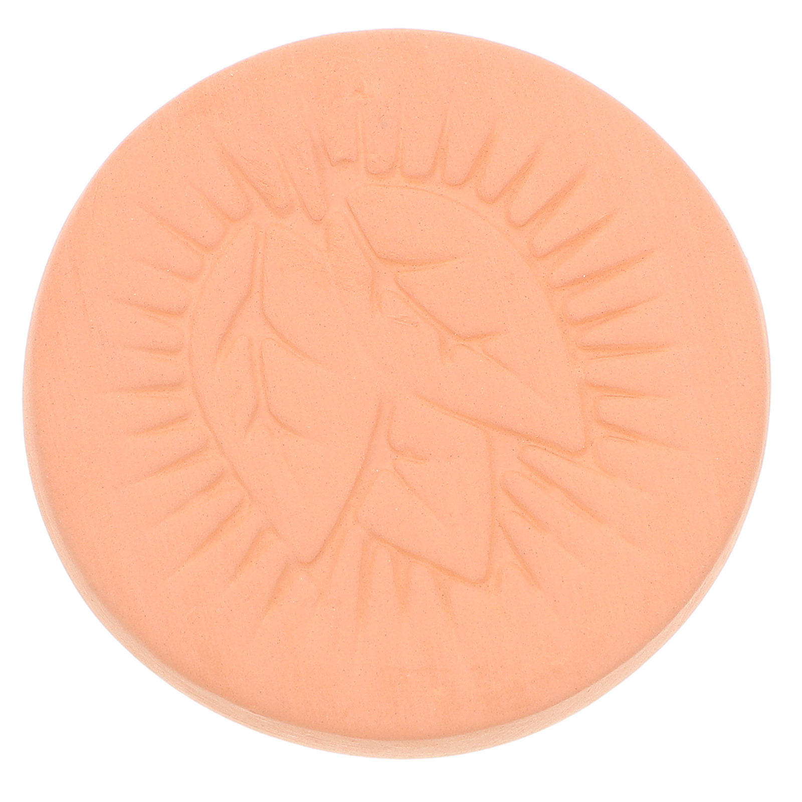Kitchen Baking Storage Containers - Reusable Terracotta Sugar Softening Disc for
