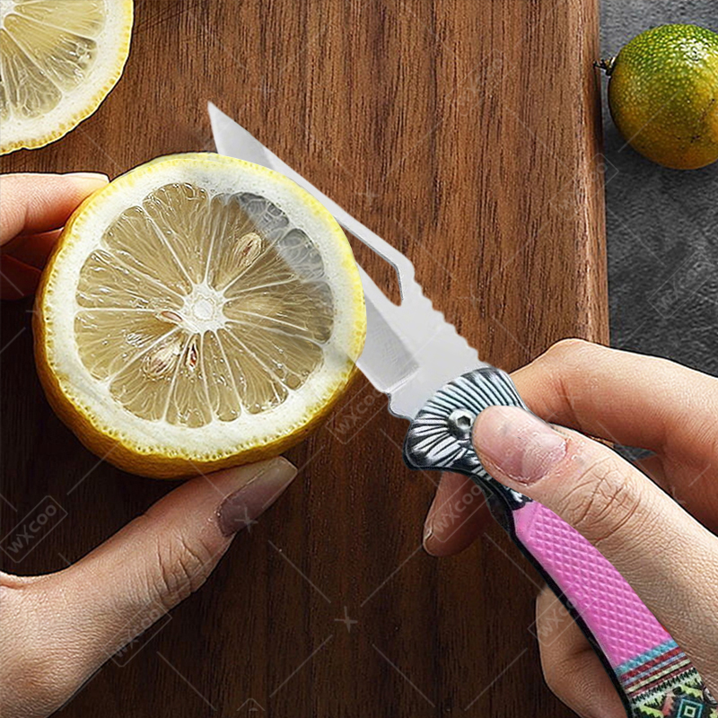 WXCOO Folding Knife Stainless  - огляд і ціна Kitchen Q