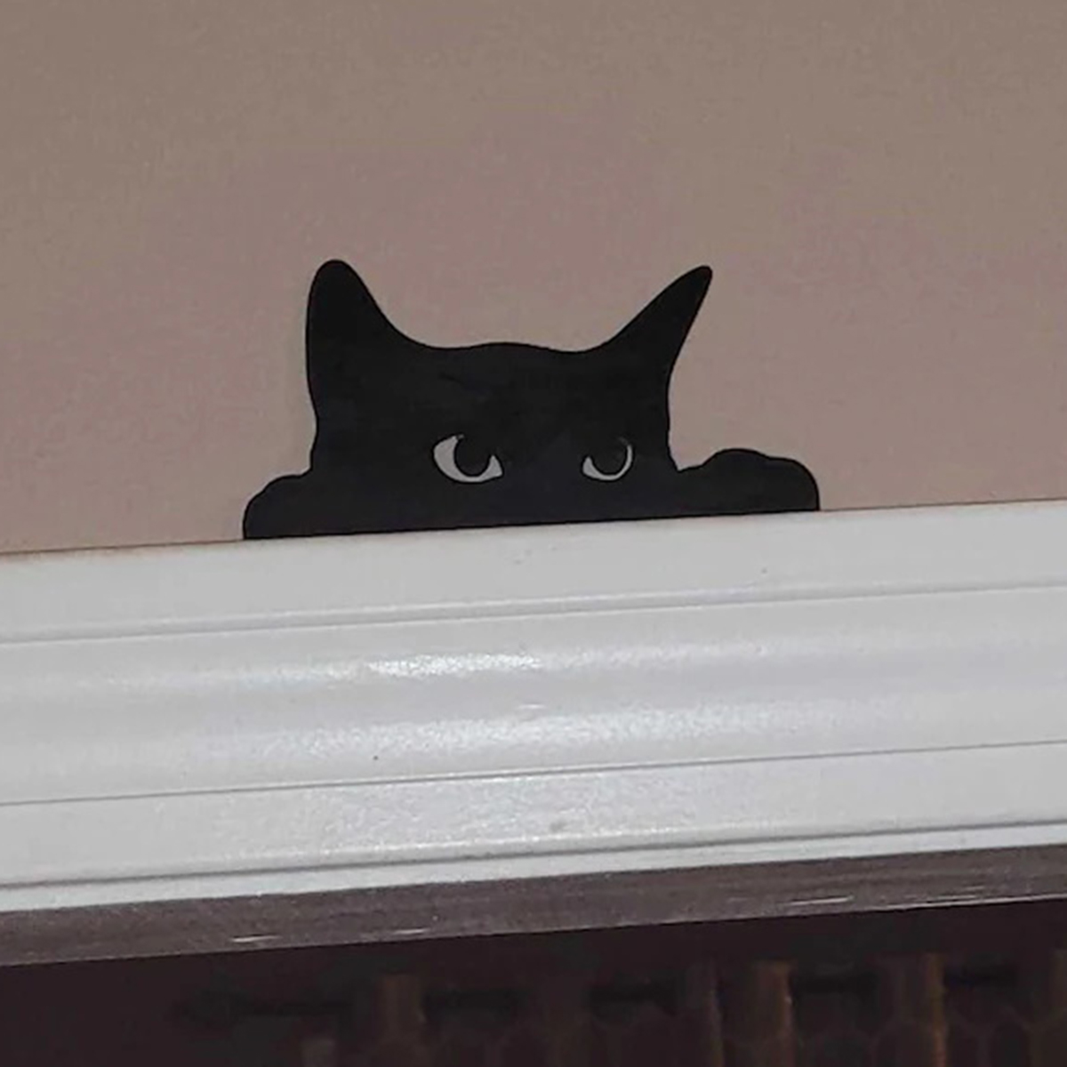 1 Pc Cat looking up Door Toppe - огляд і ціна Kitchen Up